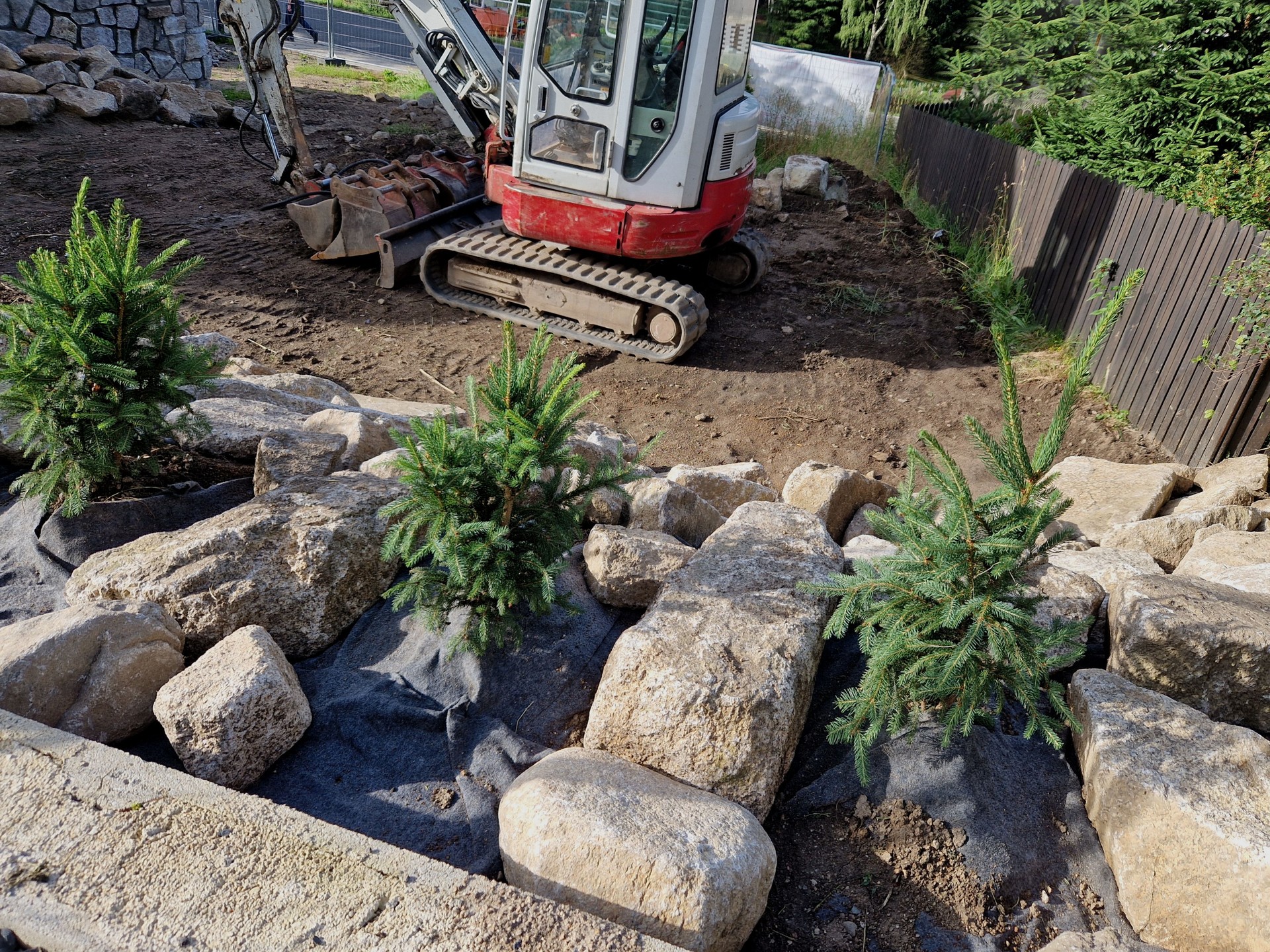 preparing a garden in the mountains. excavation work and landscaping with the planting of spruce trees between granite boulders